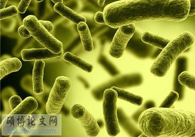 毕业论文摘要