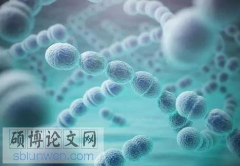 论文摘要怎么写