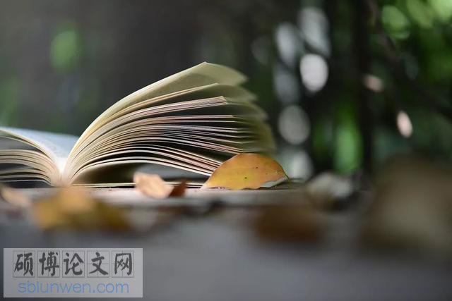 博士论文提纲