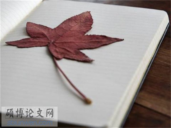论文摘要模板