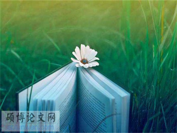 论文提纲格式