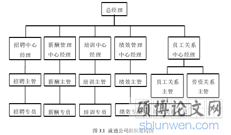 图 3.1 诚通公司组织架构图