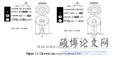 图 2-2 经典同心圆感受野