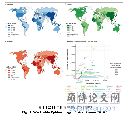 图 1.1 2018 年世界肝癌的流行图
