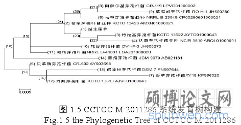 图 1.5 CCTCC M 2011286 系统发育树构建
