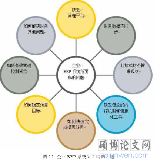 图 2.1 企业 ERP 系统所面临的问题
