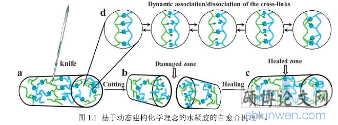 图 1.1 基于动态建构化学理念的水凝胶的自愈合机理