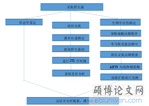 技术路线图