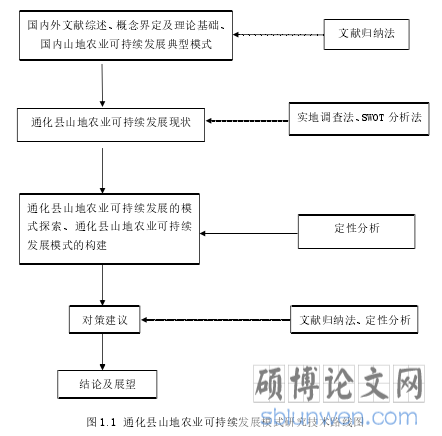 图 1.1 通化县山地农业可持续发展模式研究技术路线图