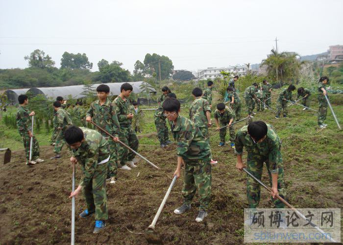 大学生社会实践论文