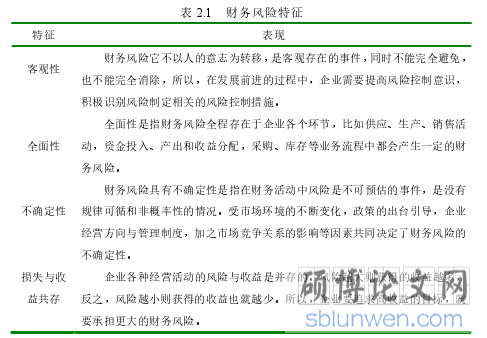 表 2.1 财务风险特征