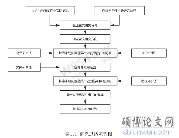图 1.1 研究思路流程图