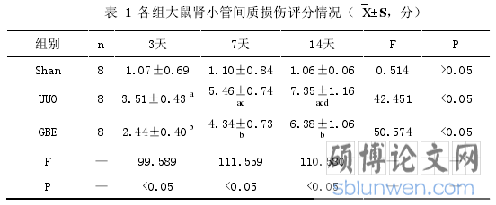 表 1 各组大鼠肾小管间质损伤评分情况