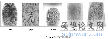 图 2-5 指纹纹路类型
