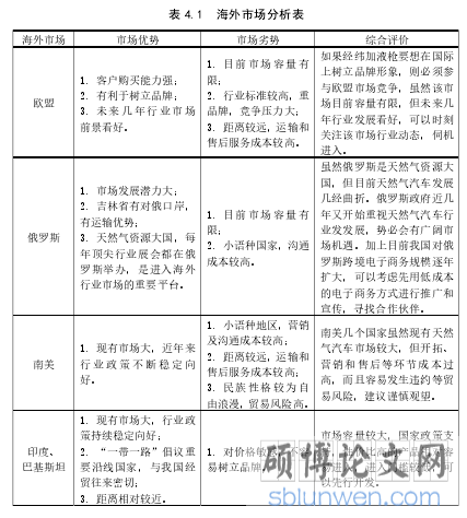 表 4.1  海外市场分析表