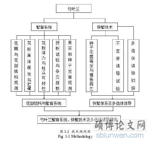 图 1-1 技术路线图