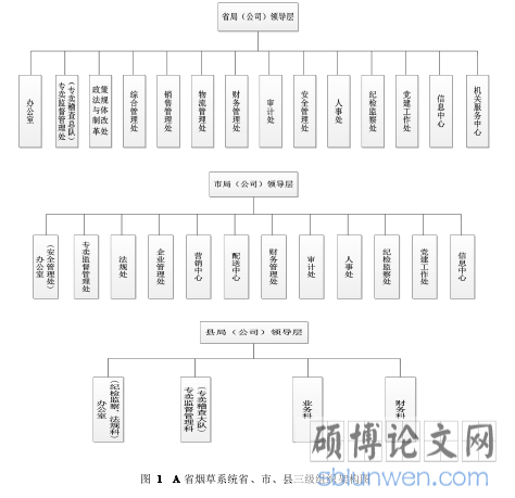 图 1 A 省烟草系统省、市、县三级组织架构图