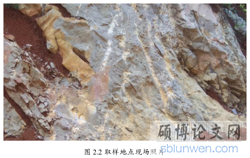 图 2.2 取样地点现场照片