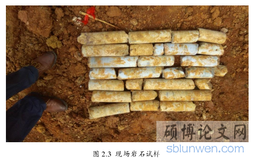 图 2.3 现场岩石试样