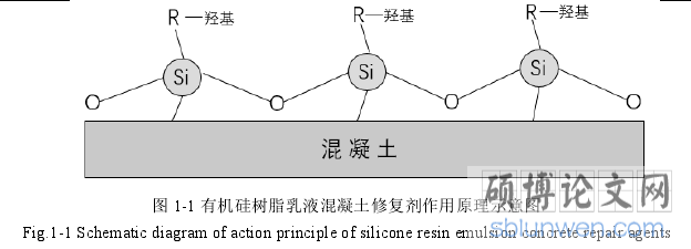 图 1-1 有机硅树脂乳液混凝土修复剂作用原理示意图