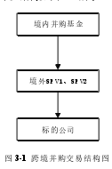 图 3-1 跨境并购交易结构图