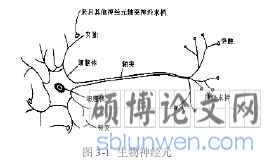 图 3-1 生物神经元
