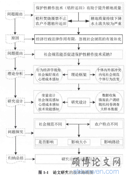 图1-1论文研究的技术路线图