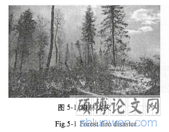 图5-1森林火灾
