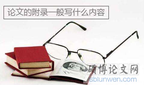 毕业论文附录格式