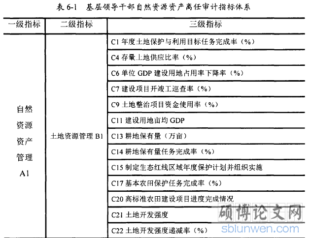 表6-1基层领导干部自然资源资产离任审计指标体系