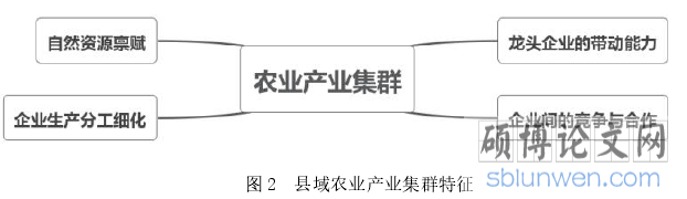图 2 县域农业产业集群特征