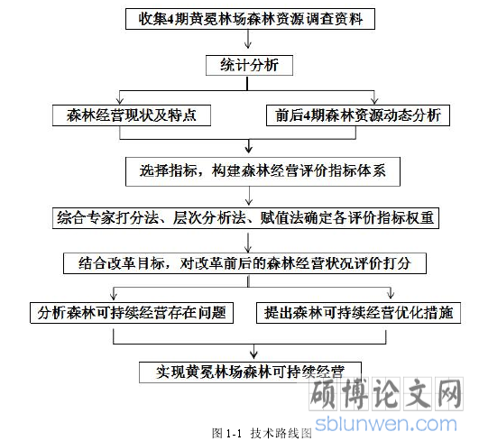 图 1-1 技术路线图