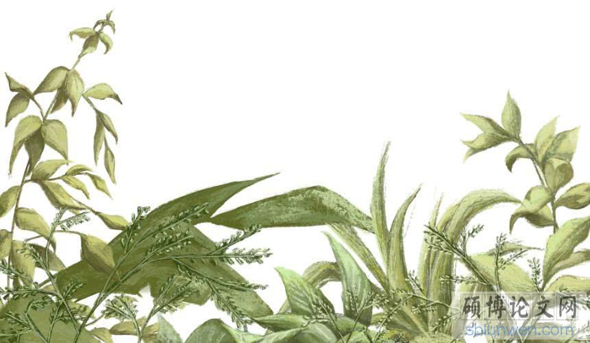 文学研究生毕业论文