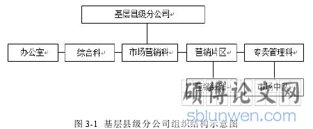 图 3-1 基层县级分公司组织结构示意图