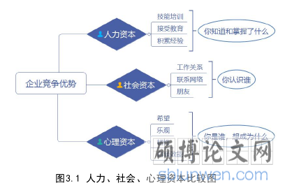图3.1 人力、社会、心理资本比较图