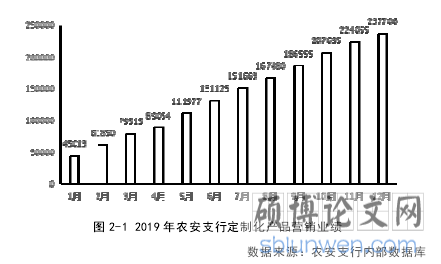 图 2-1 2019 年农安支行定制化产品营销业绩
