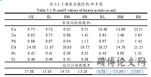 表 5-1 土壤重金属的 Pi 和 P 值