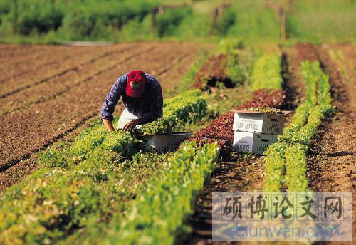 农户经营
