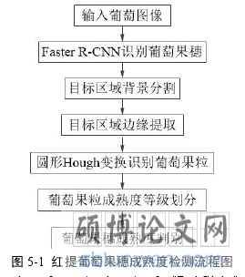图 5-1 红提葡萄果穗成熟度检测流程图