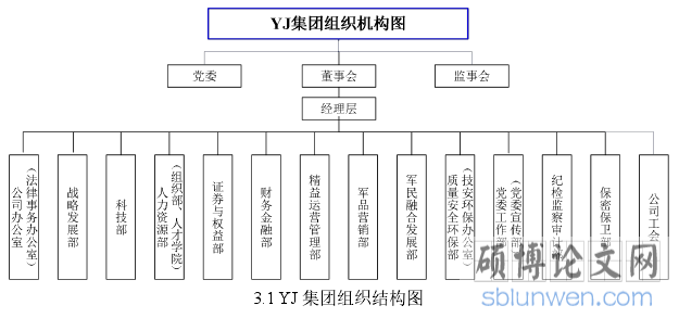 3.1 YJ 集团组织结构图