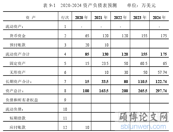表 9-1 2020-2024 资产负债表预测 单位:万美元