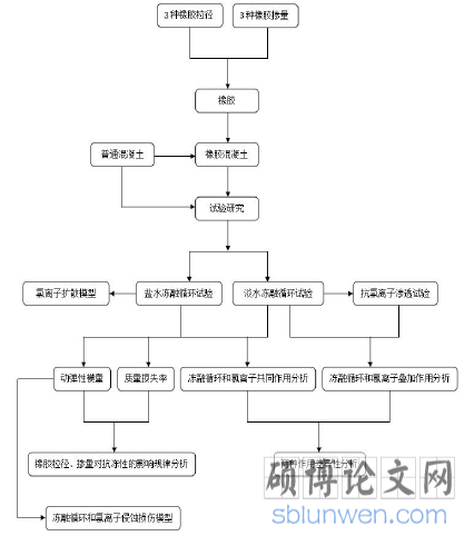 技术路线图