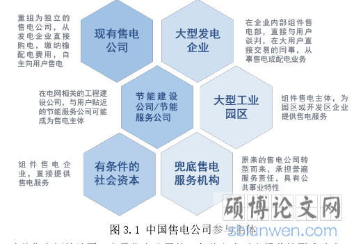 图 3.1 中国售电公司参与主体