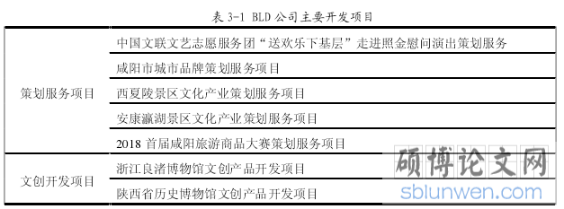 表 3-1 BLD 公司主要开发项目
