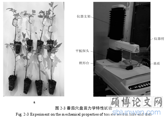 图 2-3 番茄穴盘苗力学特性试验