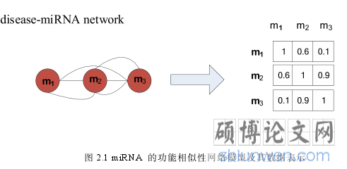 图 2.1 miRNA 的功能相似性网络模型及其数据表示
