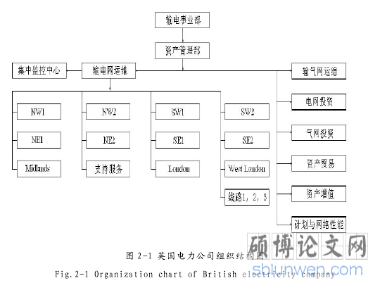 图 2-1 英国电力公司组织结构图