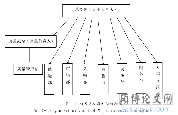 图 6-1 M医药公司组织结构图