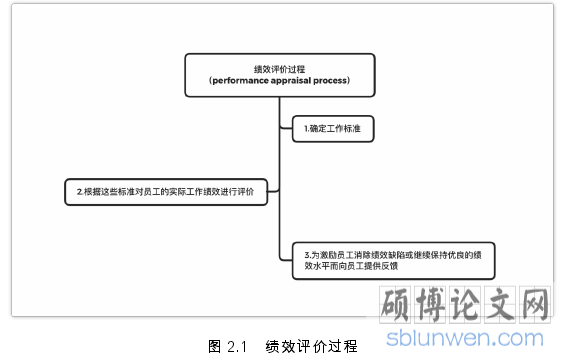 图 2.1   绩效评价过程