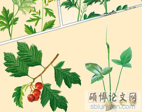 药学专科论文